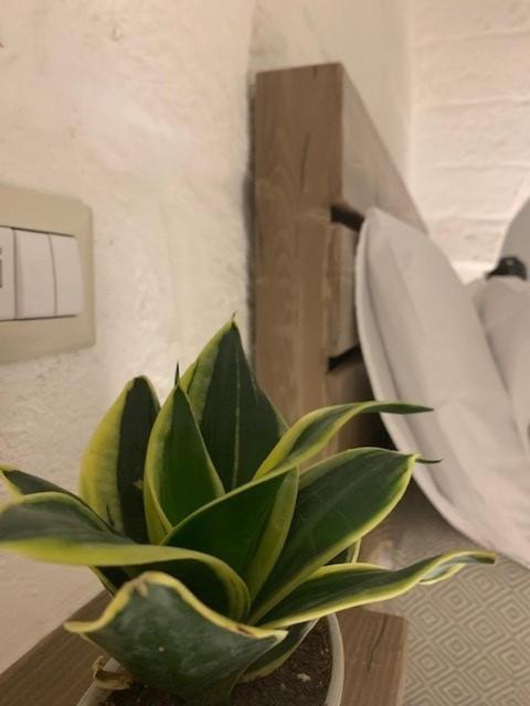 Boutique Room One فاسانو المظهر الخارجي الصورة